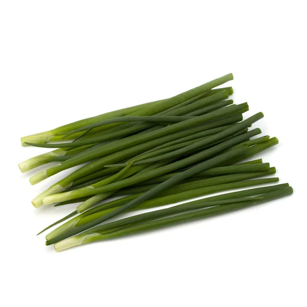 Stock image Spring onion