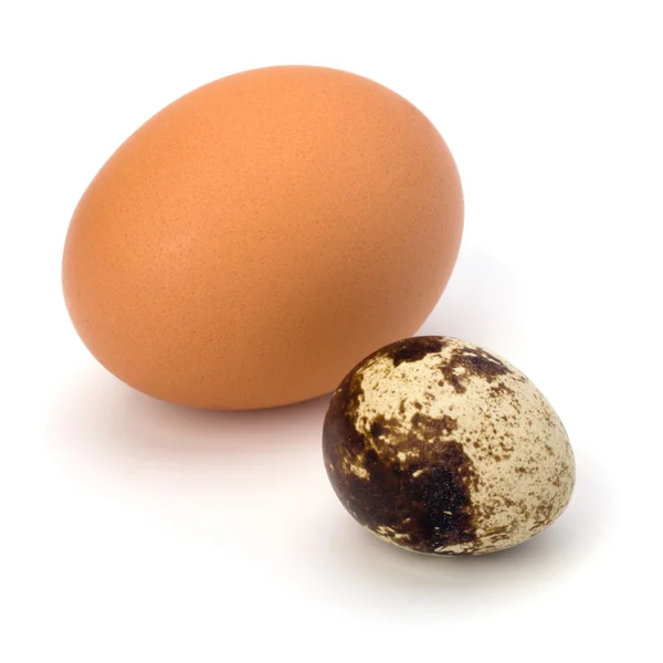 Codorniz y huevos de gallina — Foto de Stock