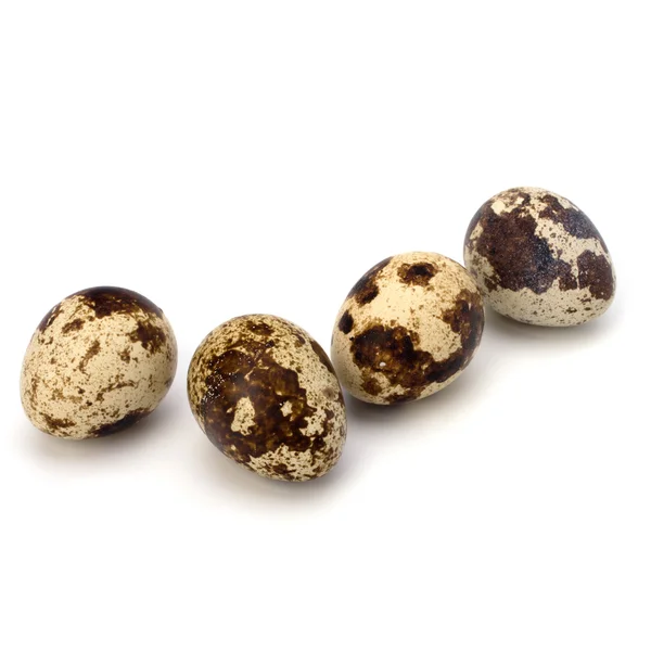 stock image Quail eggs