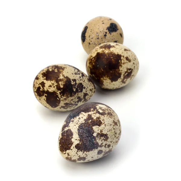 stock image Quail eggs