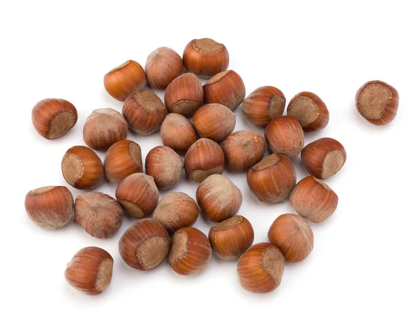 Hazelnuts — Stock fotografie