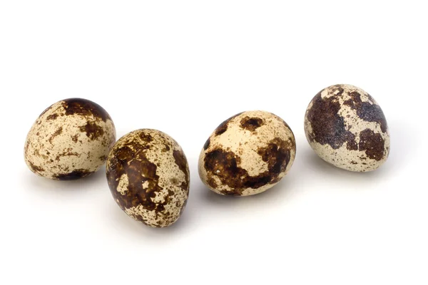 stock image Quail eggs