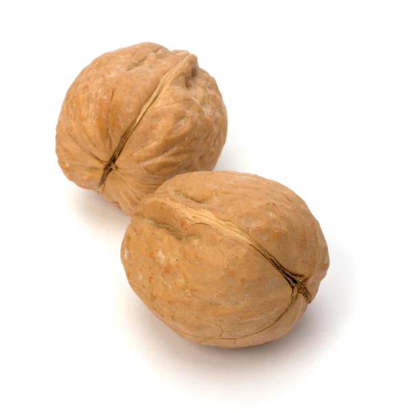 Circassian walnut isolated on the white background — Stock Photo, Image