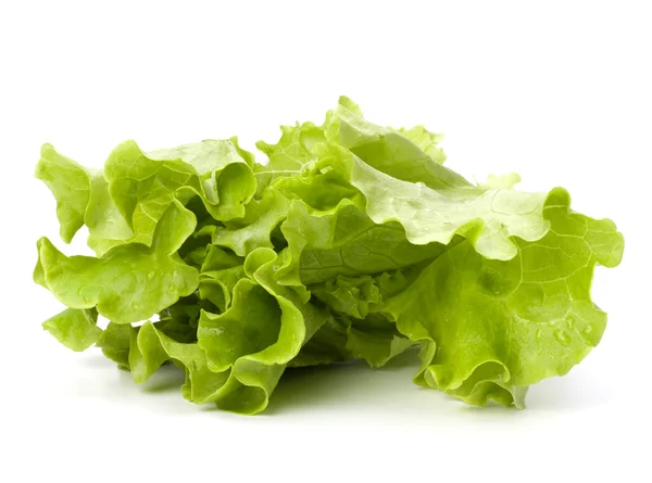 Salat isoliert auf weißem Hintergrund — Stockfoto