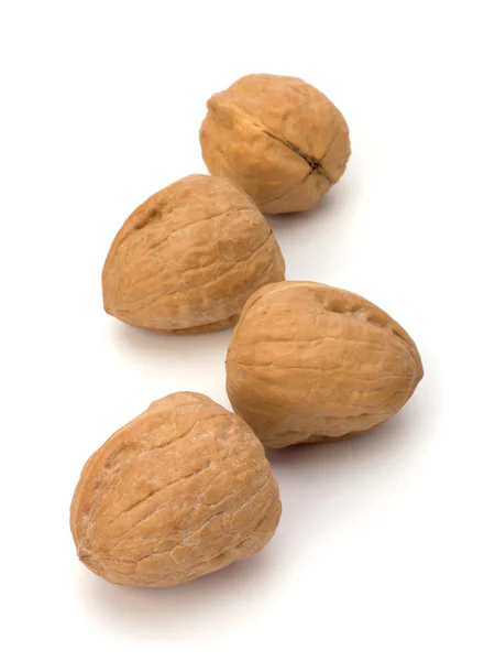 Circassian walnut isolated on the white background — Stock Photo, Image