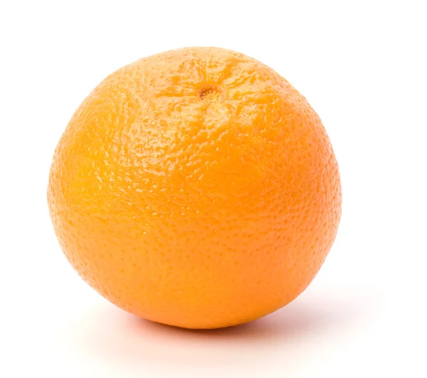 Оранжевый на белом фоне — стоковое фото