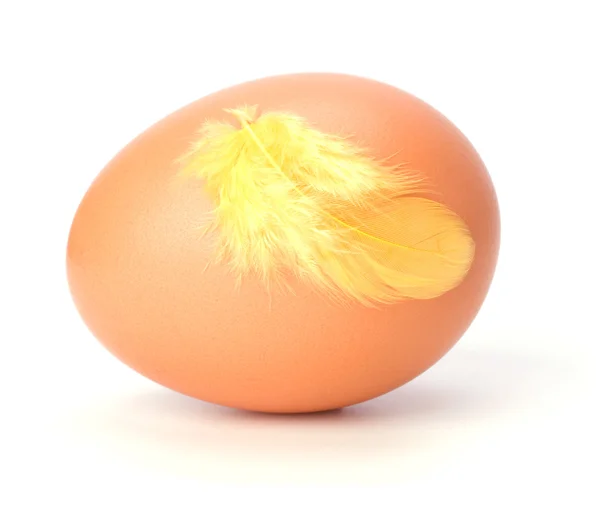 Яйцо и перо изолированы на белом фоне. Пасхальный декор . — стоковое фото
