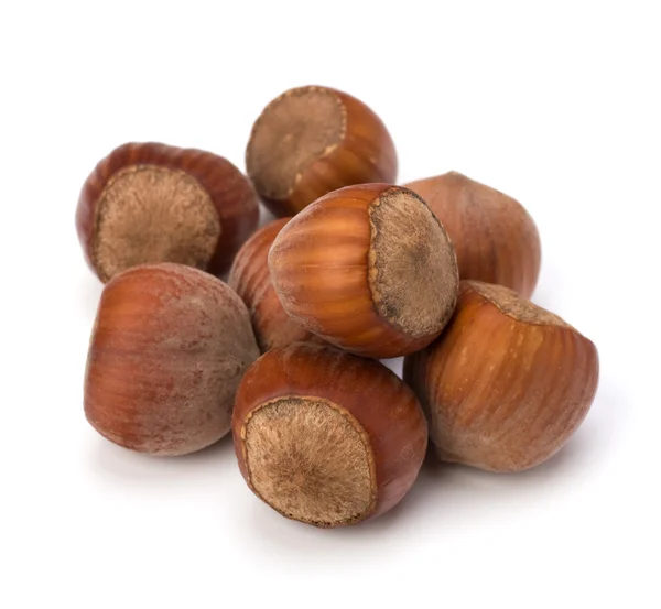 Hazelnuts — Fotografie, imagine de stoc