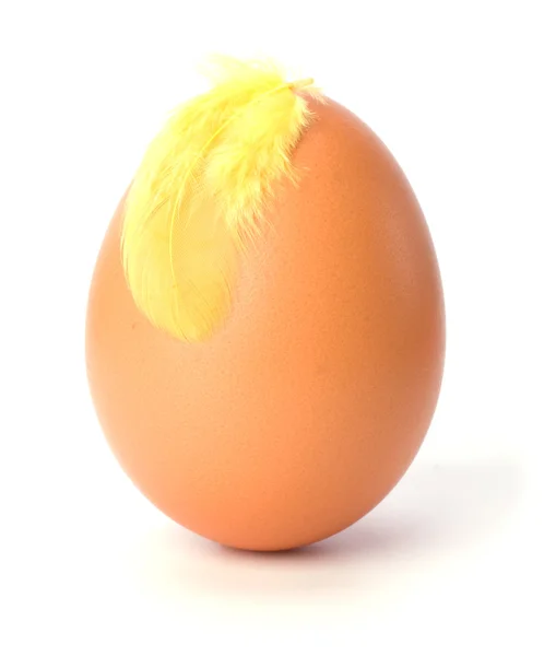 鸡蛋和孤立在白色背景上的羽毛 — 图库照片