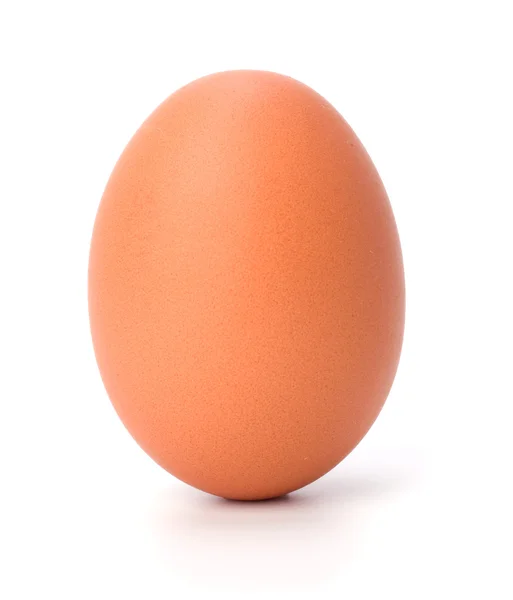 Egg isolated on white — Stock Photo, Image