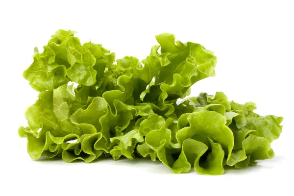 Salada de alface isolada sobre fundo branco — Fotografia de Stock