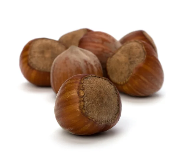 Hazelnuts isolated on white background — Stock Photo, Image