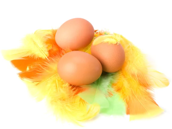 Huevos y plumas aislados sobre fondo blanco. Decoración de Pascua . — Foto de Stock