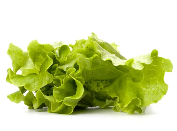 Салат з салату ізольований на білому фоні — стокове фото