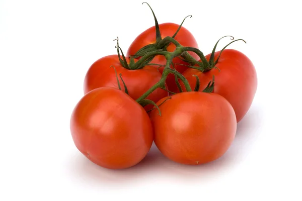 Röd tomat isolerat på den vita bakgrunden — Stockfoto
