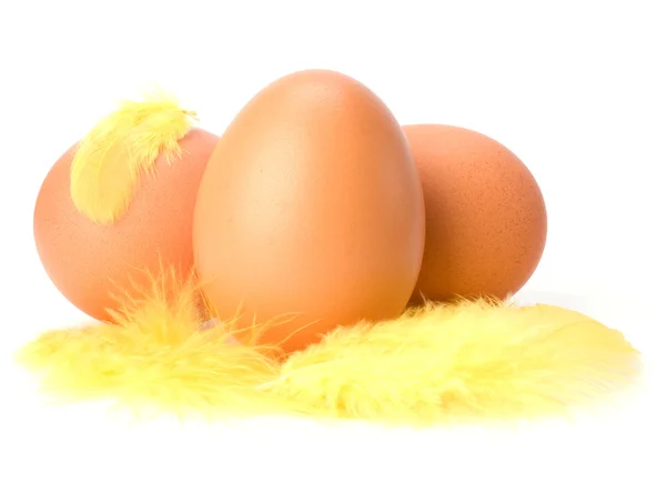 Ägg och fjäder isolerad på vit bakgrund. påsk inredning. — Stockfoto