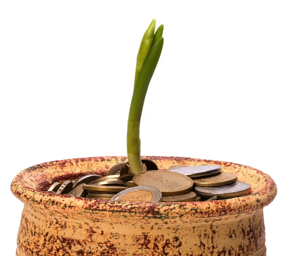 Pengar potten. affärsidé — Stockfoto