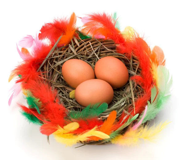 Пасхальные яйца в гнезде изолированы на белом фоне — стоковое фото