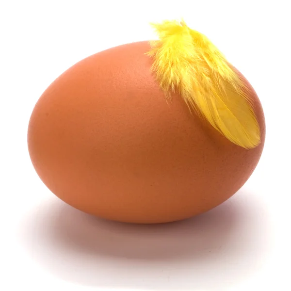 Jajko z piór na białym tle na biały backgroundegg z piór jest — Zdjęcie stockowe
