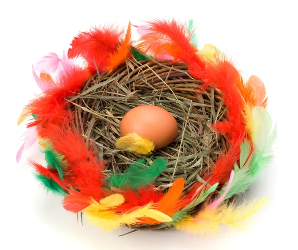 Uovo di Pasqua in nido isolato su sfondo bianco — Foto Stock