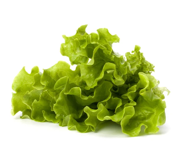Салат з салату ізольований на білому фоні — стокове фото