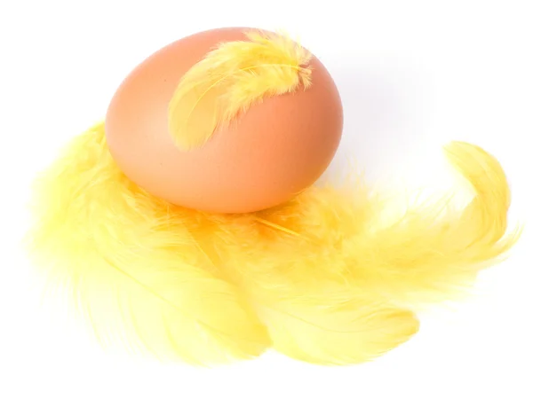 Egg and feather isolated on white background. Easter decor. — Stock Photo, Image