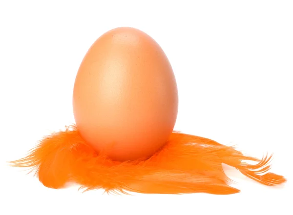 Jajko i pióro na białym tle. Wielkanoc wystrój. — Zdjęcie stockowe