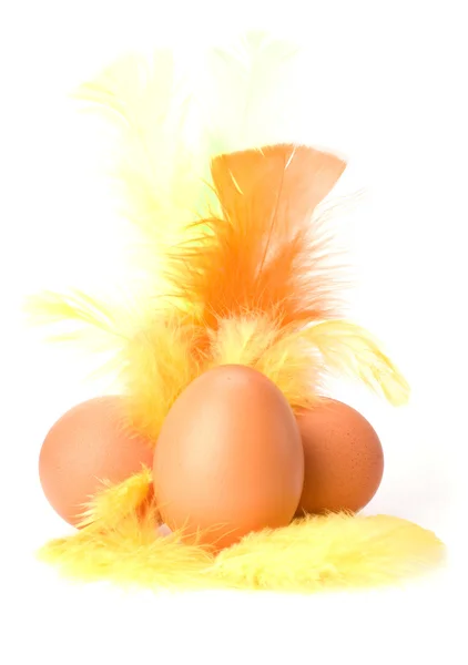Huevos y plumas aislados sobre fondo blanco. Decoración de Pascua . — Foto de Stock
