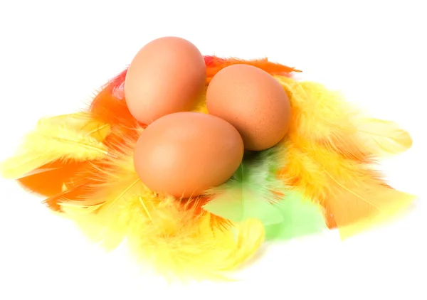 Eggs and feather isolated on white background. Easter decor. — Stock Photo, Image