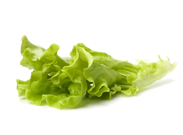 Salade de laitue isolée sur fond blanc — Photo