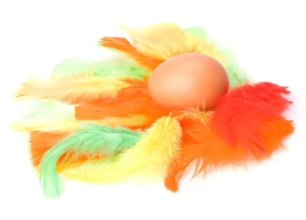 卵と白い背景で隔離の羽。イースター装飾. — ストック写真