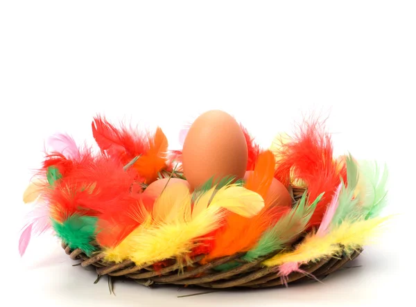 在白色背景下隔离的鸟巢中的复活节蛋 — 图库照片
