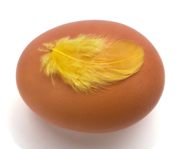 Яйцо с пером изолированы на белом фоне groundegg с пером — стоковое фото