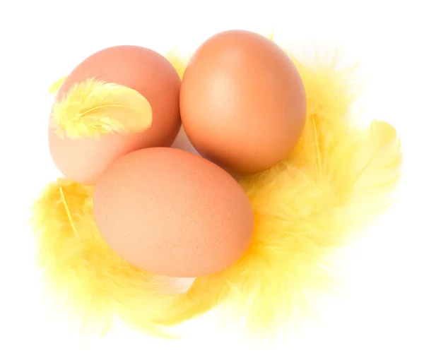 Яйца и перо изолированы на белом фоне. Пасхальный декор . — стоковое фото
