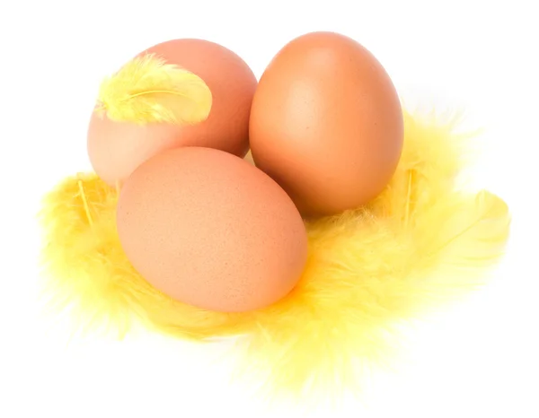 Ägg och fjäder isolerad på vit bakgrund. påsk inredning. — Stockfoto
