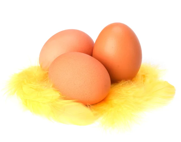 Jaja i pióro na białym tle. Wielkanoc wystrój. — Zdjęcie stockowe