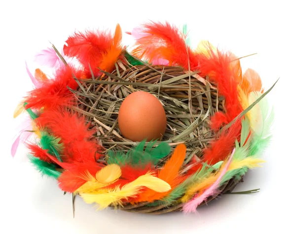 Velikonoční vejce v hnízdě izolované na bílém pozadí — Stock fotografie