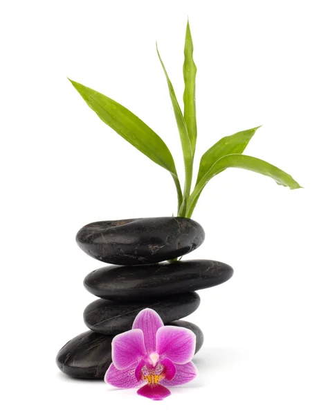 Balanço de seixos zen. Conceito de spa e saúde . Fotografias De Stock Royalty-Free