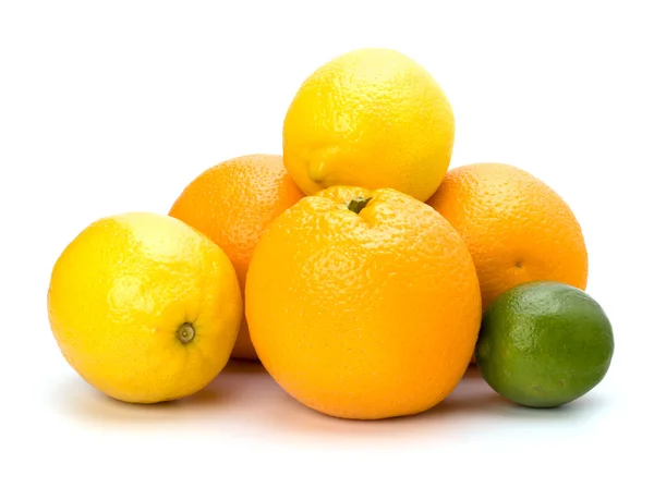柑橘类水果 免版税图库图片