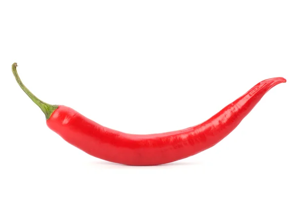 Chili pepper isolated on white background Stock Image