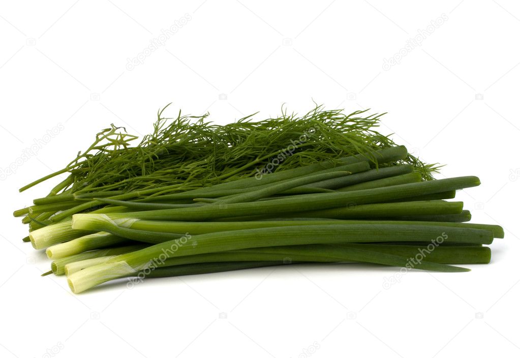 Dill and young onion isolated on white background