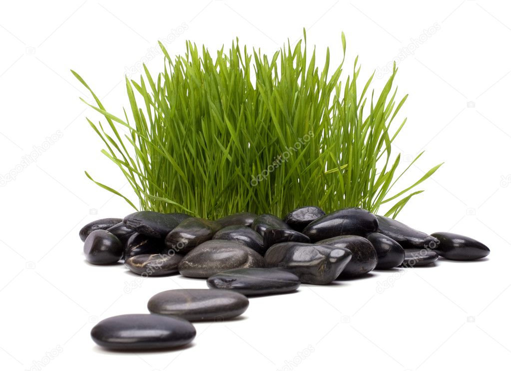 Grass and stones isolated on white background