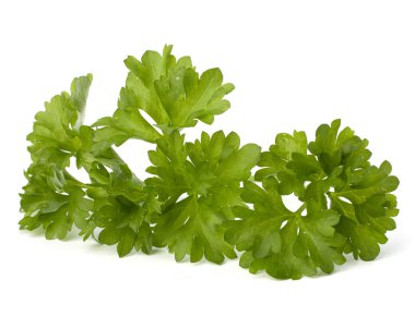 maydanoz herb