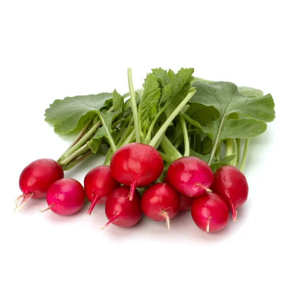 Small garden radish — Stock Photo, Image