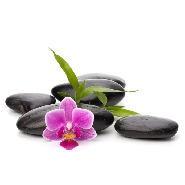 stock image Zen pebbles path. Spa and healthcare concept.