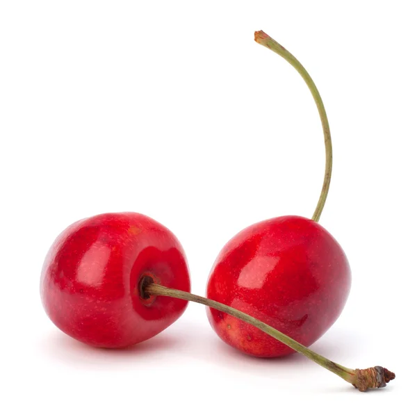 两个樱桃浆果 — 图库照片