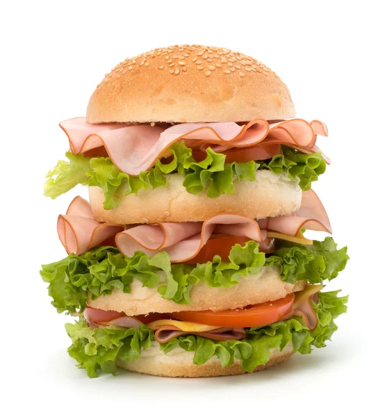 stock image Junk food hamburger