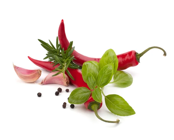 Chili pimienta y hierbas aromatizantes — Foto de Stock