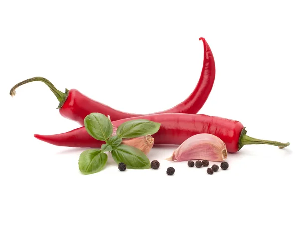 Chili peper en specerijen — Stockfoto