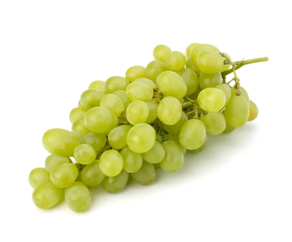 stock image Perfect bunch of white grapes